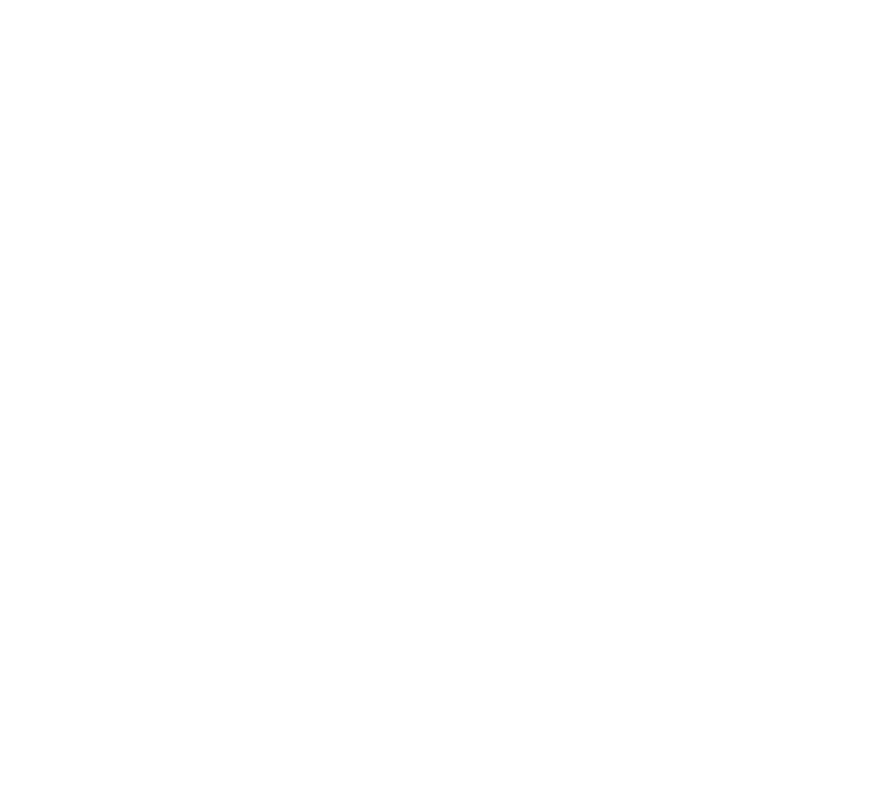 Vincent Beaussieu